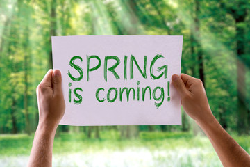 Spring is Coming card with nature background