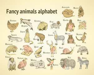 Sketch fancy animals alphabet  in vintage style - 79300405