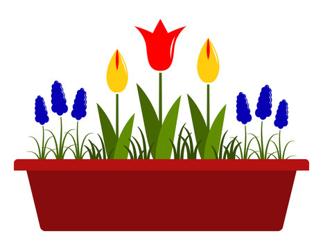 red tulips, yellow tulips, blue flowers in planter clip art preview