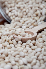 rohe weiße Bohnen mit Holz Löffel