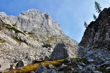 alps view