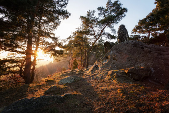 Sonnenuntergang bei Timmenrode