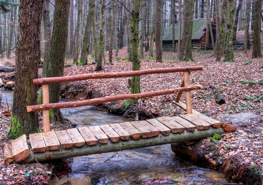 Wooden Bridge Over Forest Brook