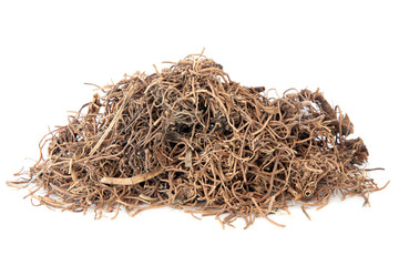 Cynanchum Root