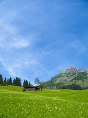 altes bauernhaus auf der Alm