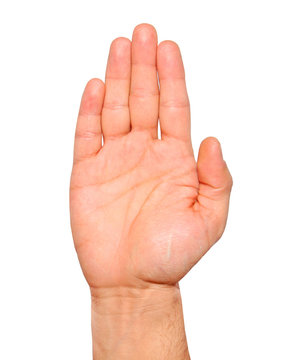Open palm hand gesture of male hand Isolated