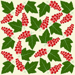 Seamless floral pattern with red currant