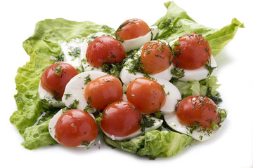 Mozzarella cheese with tomatoes