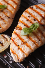 Chicken fillet with onion on a grill macro. Vertical