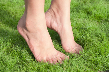 Woman feet over green grass.