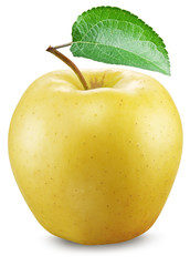 Yellow apple on a white background.