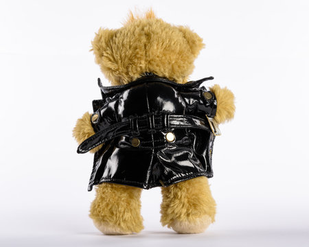 Exhibitionist Teddy, der seinen Penis zeigt, R&uuml;ckansicht