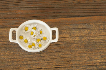daisy