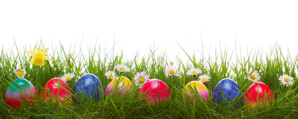 Green grass and colorful easter eggs.