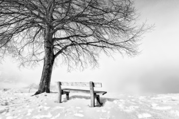 bench, foggy winter day (112)