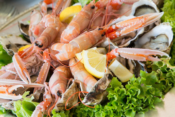Scampi, oysters and salad