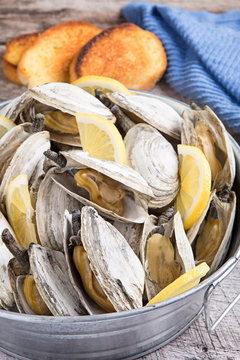 Bucket of steamed clams