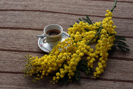 festa della donna, caff&egrave; e mimose