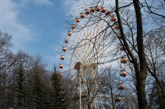 Ferris Wheel, trees and sky