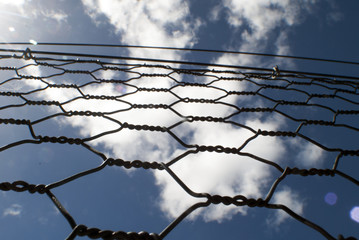 Chicken wire fence with a blue cloudy sky background