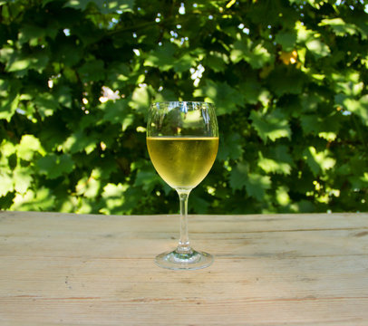 Steamy Glass of White Wine