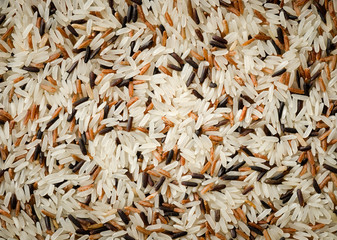 detail of uncooked mix rice grains background