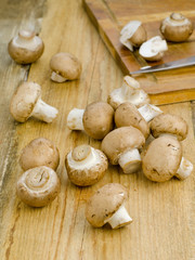 Mushrooms