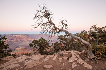 Grand Canyon National Park at night