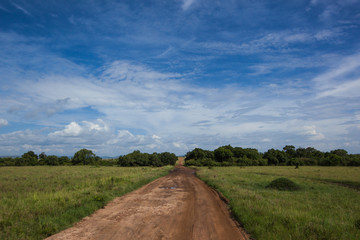 Naklejka premium wildlife, clouds, day, road, Kenya, reserve, landscape, land
