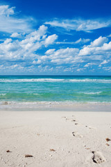 Beach. sea relaxation landscape