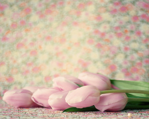 Fototapeta na wymiar Pink tulips with vintage background
