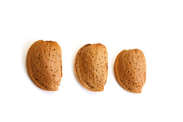 Almond in shell