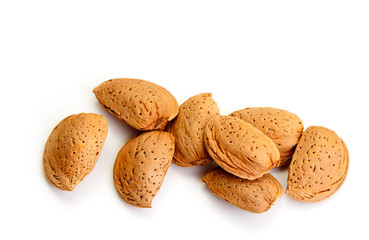 Almond in shell