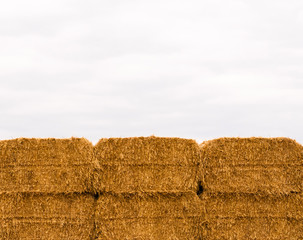 Six stacked yellow hay bales on overcast sky