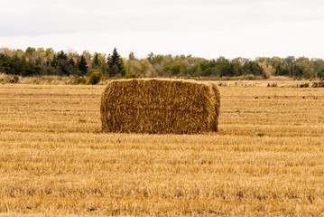 Single yellow hay bale in empty field