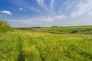 Obraz premium field on a background of the sky