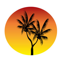 palms in sunset circle