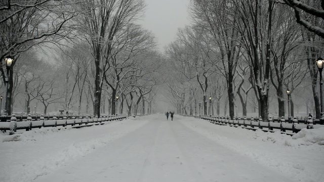 Central Park in the snow, Manhattan New York