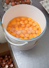 Eggs bucket