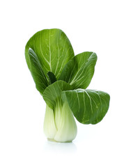 Bok choy (chinese cabbage or Qing geng cai) isolated on white
