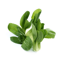 Bok choy (chinese cabbage or Qing geng cai) isolated on white