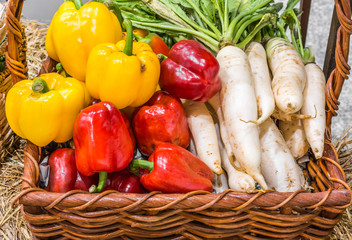 agriculture harvested pepper and radish in basket