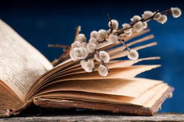 Bible and willow © Natalija Sirokova