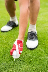 Fototapeta premium Golfer placing golf ball on tee