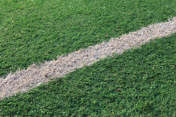 white line on sports ground