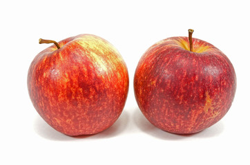 apples on white background