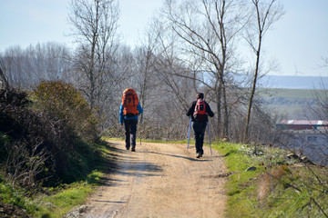 Obraz premium peregrino caminando hacia santiago de compostela
