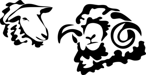 stylized head of merino sheep