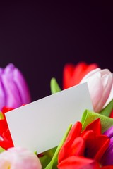 Bunch of tulips and white card