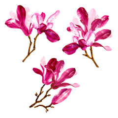 Naklejka premium Set of red watercolor magnolia flowers